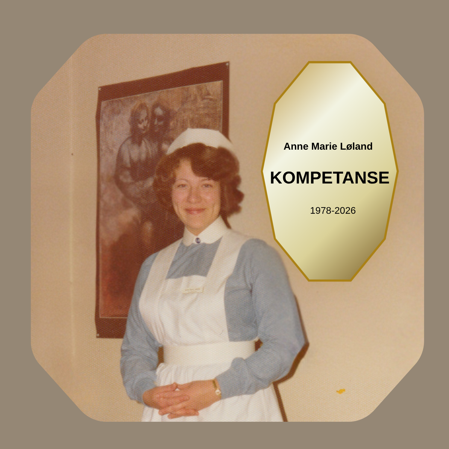 Anne Maries kompetanse-sammendrag, trykk her.